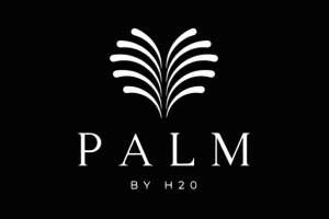 palm-by-h20-security-installation
